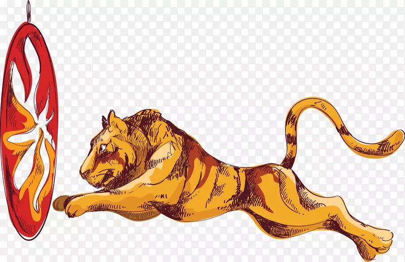 虎狮马戏团插图-画马戏团狮子跳过篮圈