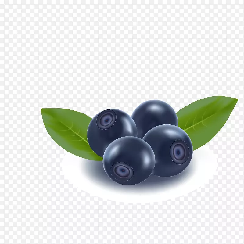 蓝莓果夹艺术-蓝莓