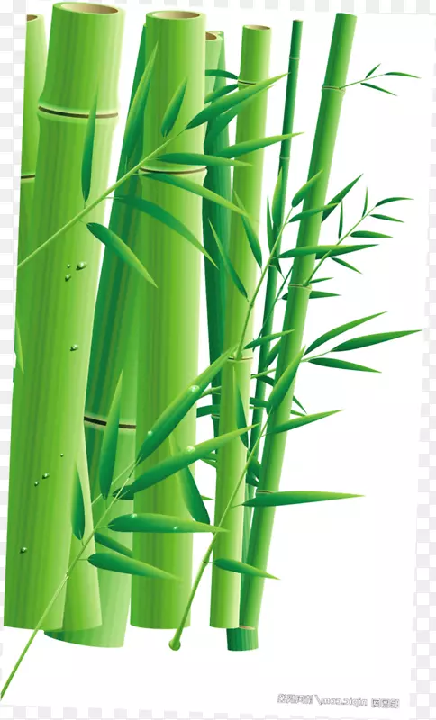 粽子龙舟节u7aefu5348竹子