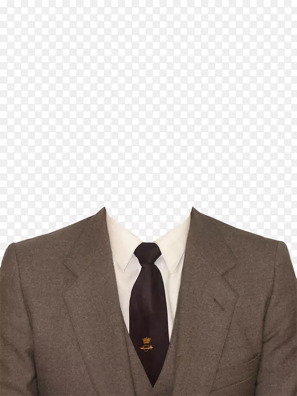 燕尾服正式服装深棕色西装领带