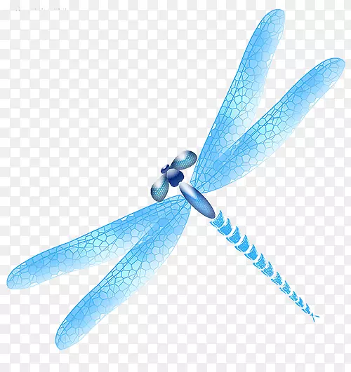 蜻蜓蓝色图标-蓝色蜻蜓