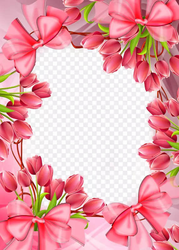画框玫瑰粉红色花郁金香花边