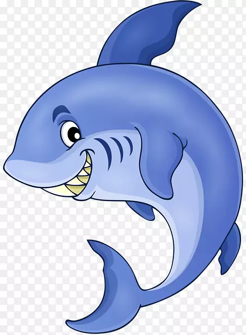 普通宽吻海豚鲨