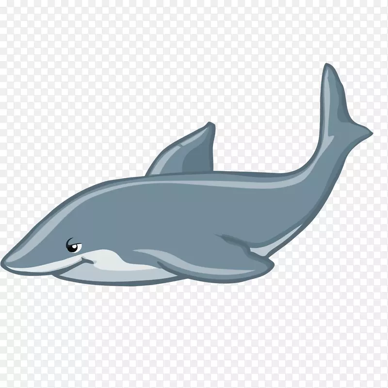 海豚鲸鱼-爱海豚