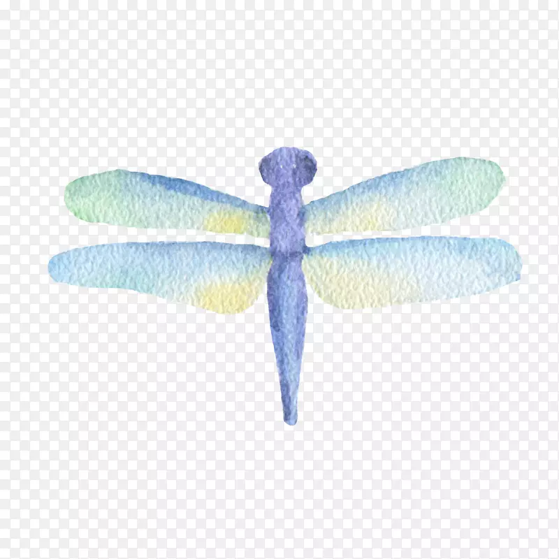 昆虫蜻蜓水彩画-蜻蜓