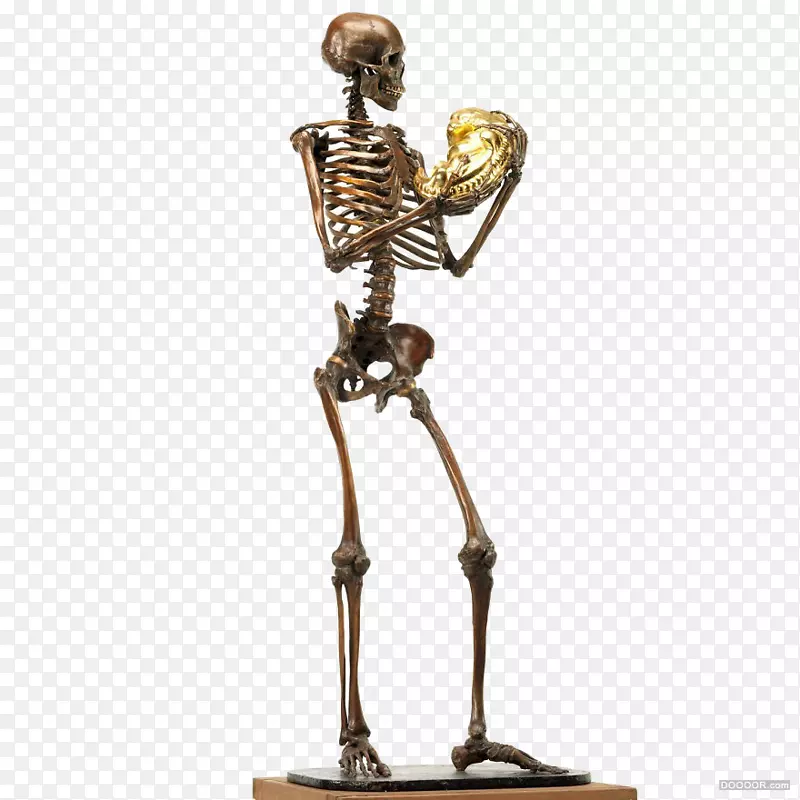 人体骨骼雕塑人体u9ab7u9ac5-金属骨架
