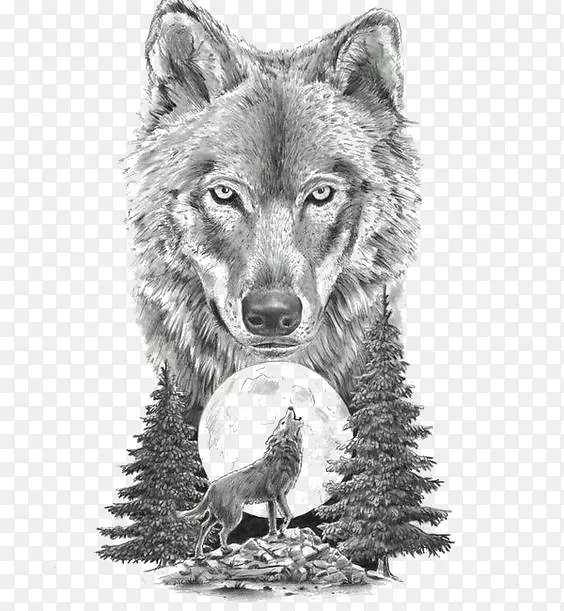 灰狼运动纹身工作室纹身艺术家素描动物狼
