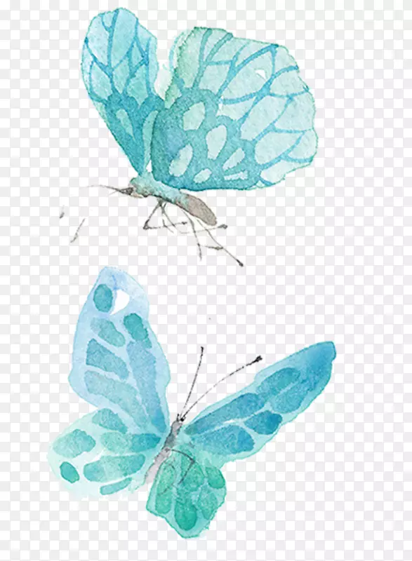 水彩画插图.蓝色蝴蝶