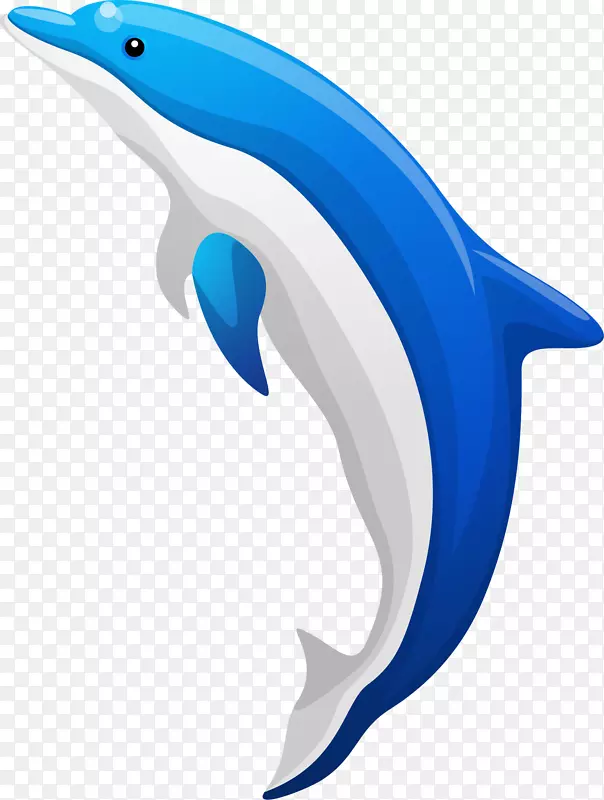 普通宽吻海豚图库溪卡通蓝海豚