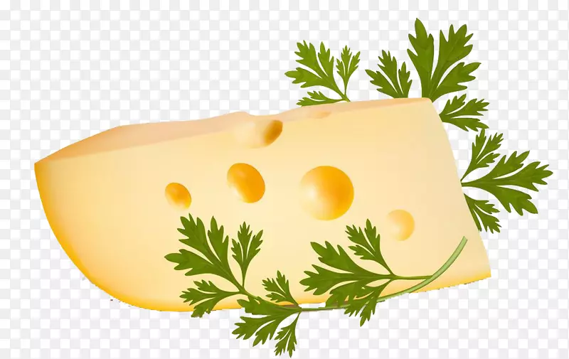 蔬菜奶酪大蒜插图-奶酪