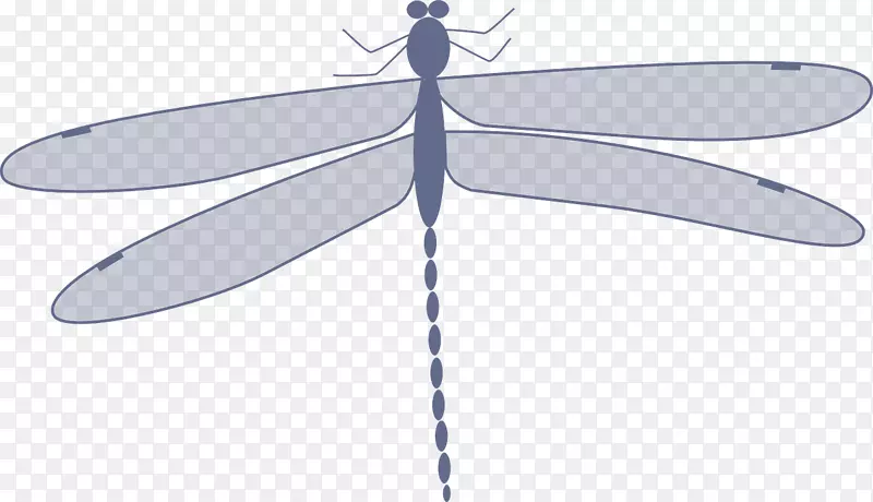 昆虫蜻蜓动画剪辑艺术.灰色蜻蜓