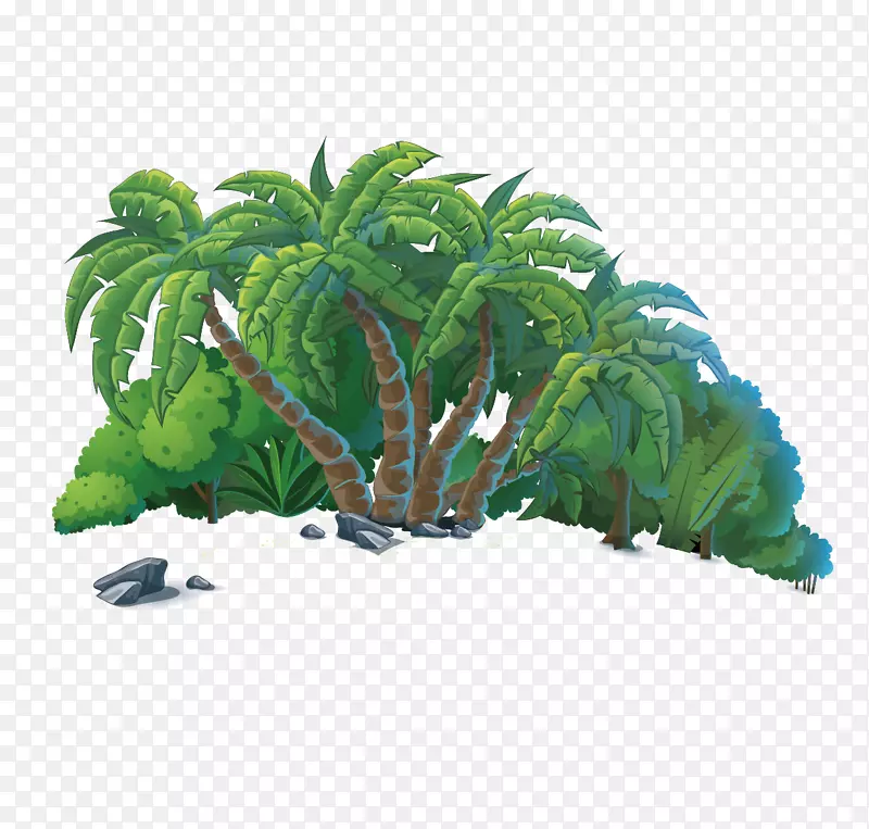 岛椰子树-茂盛的热带椰子树