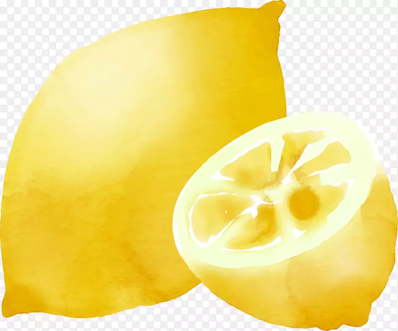 柠檬-莱姆饮料图标-手绘柠檬