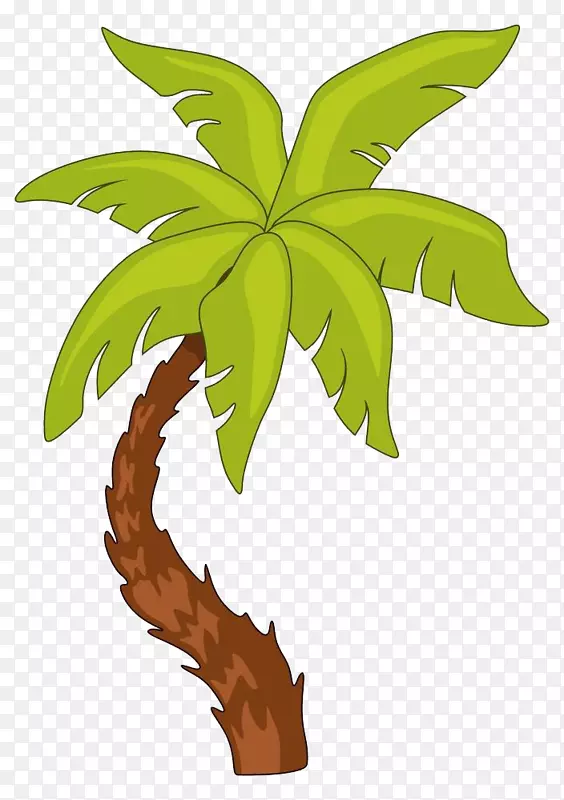 槟榔科树木摄影插图.椰子插图