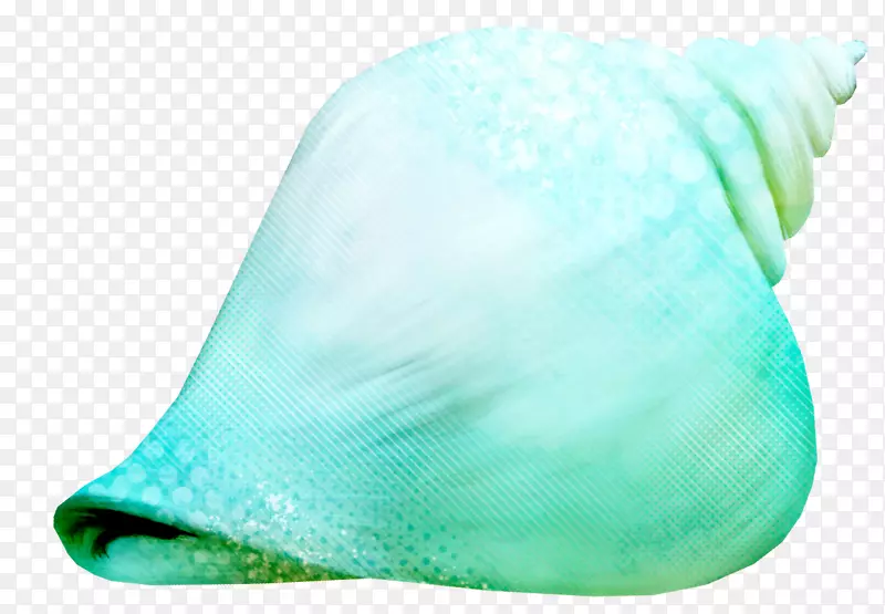海螺夹艺术.绿色海螺图案