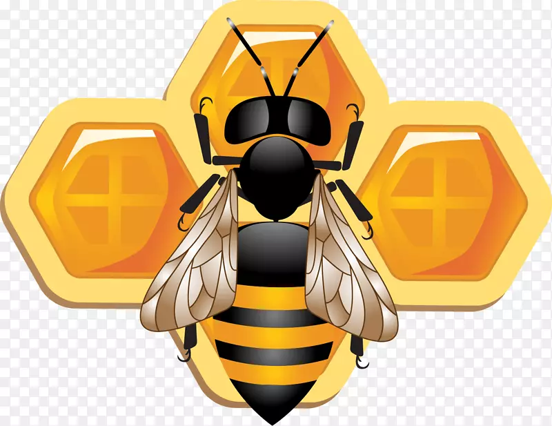 蜜蜂昆虫蜂巢陶器插画花蜜蜂