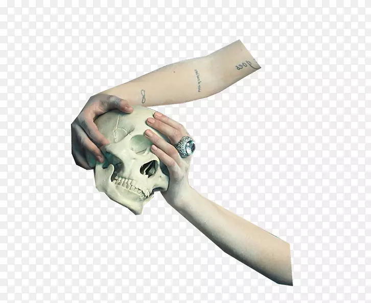 颅骨骨架欧式-双手骨架头骨