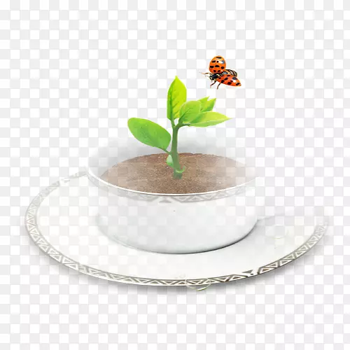咖啡杯昆虫蝴蝶-昆虫咖啡