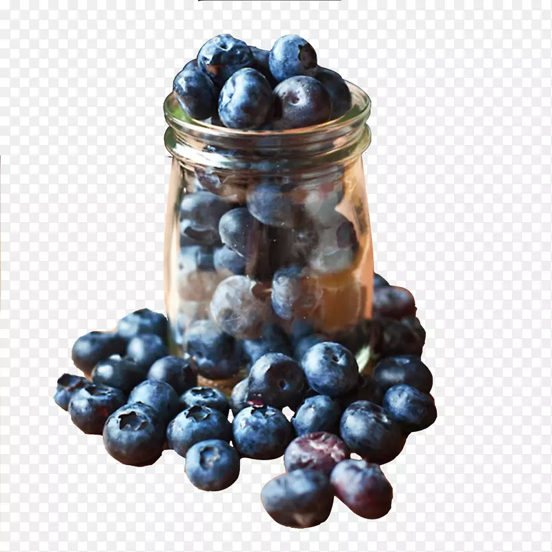蓝莓紫莓-蓝莓