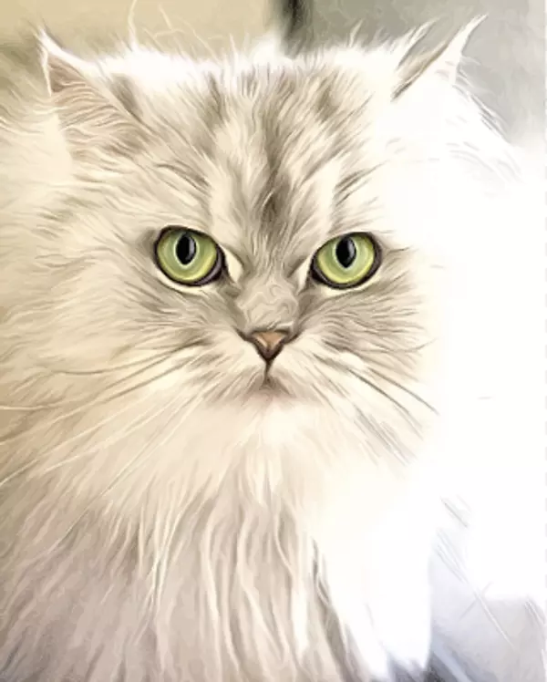 猫猫科狗兽医肖像画剪贴画