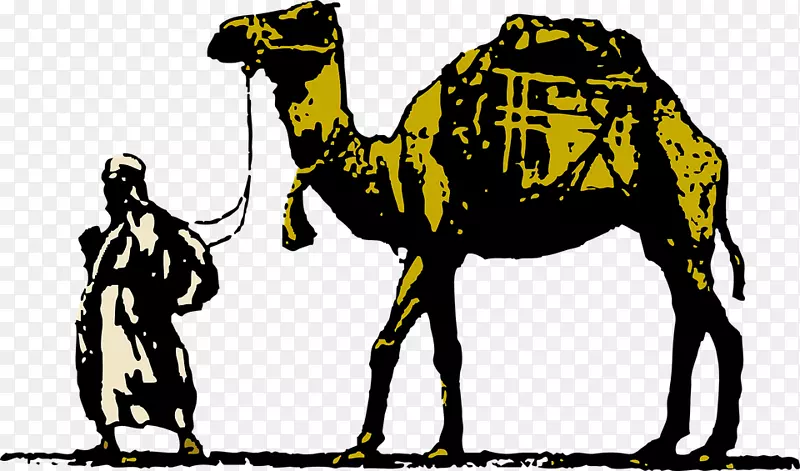 免费内容剪贴画-骆驼，沙漠，动物