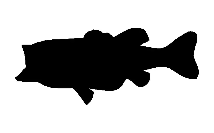 大口鲈鱼剪影低音钓鱼夹艺术-贝斯跳跃悬崖