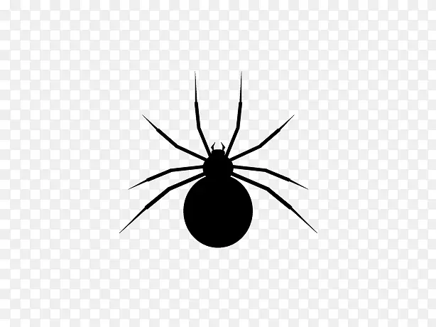 昆虫黑白图案-蜘蛛网图标