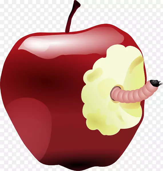 蠕虫苹果可伸缩图形剪辑艺术烂肉剪贴画