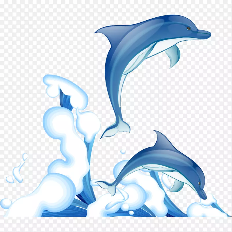 普通宽吻海豚剪贴画海豚喷雾图案