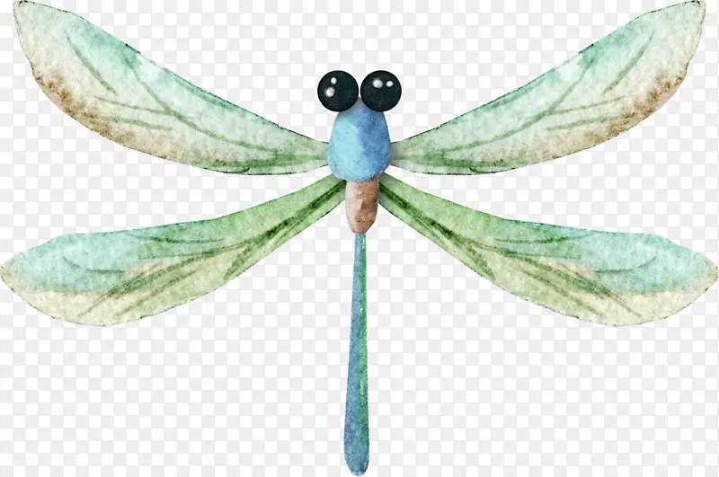 蜻蜓水彩画图标-漂亮彩绘蜻蜓