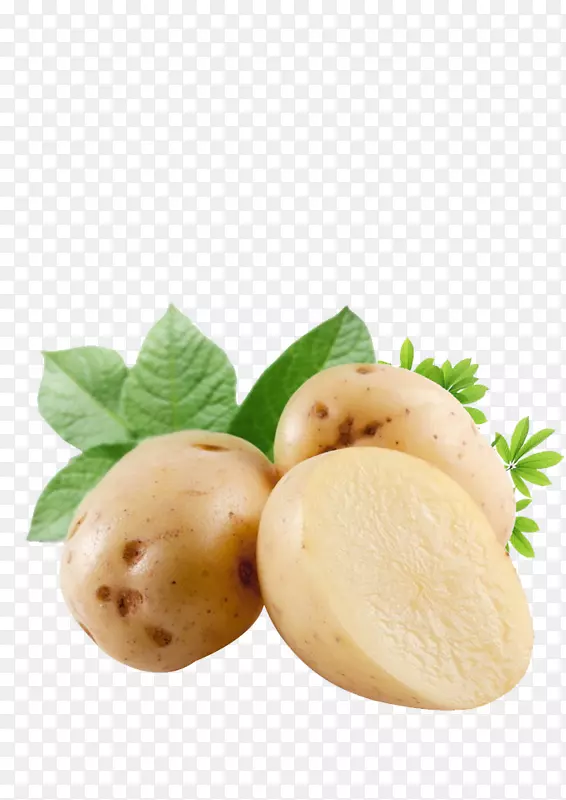 甘薯块茎蔬菜马铃薯