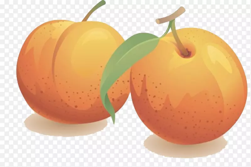 油桃果夹艺术-桃子