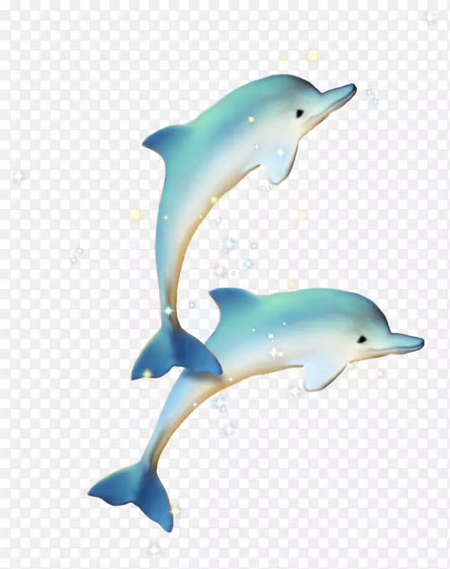 普通宽吻海豚短喙普通海豚图库溪蓝海豚