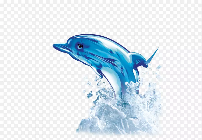 图标-海豚