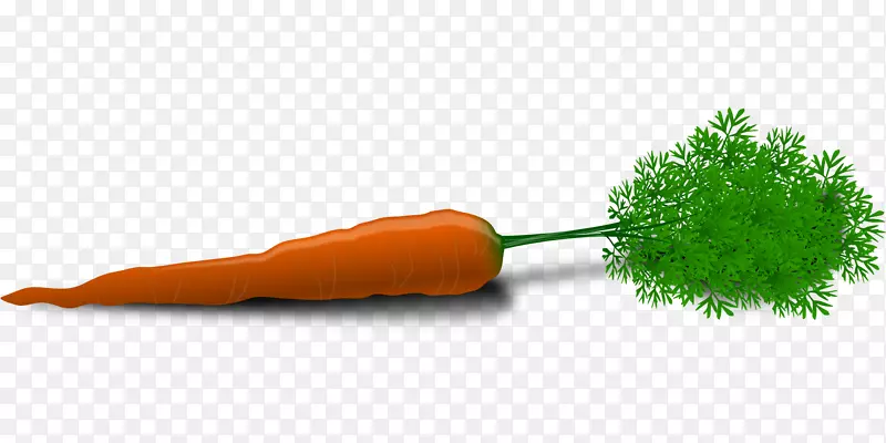 胡萝卜蔬菜剪贴画-创意胡萝卜
