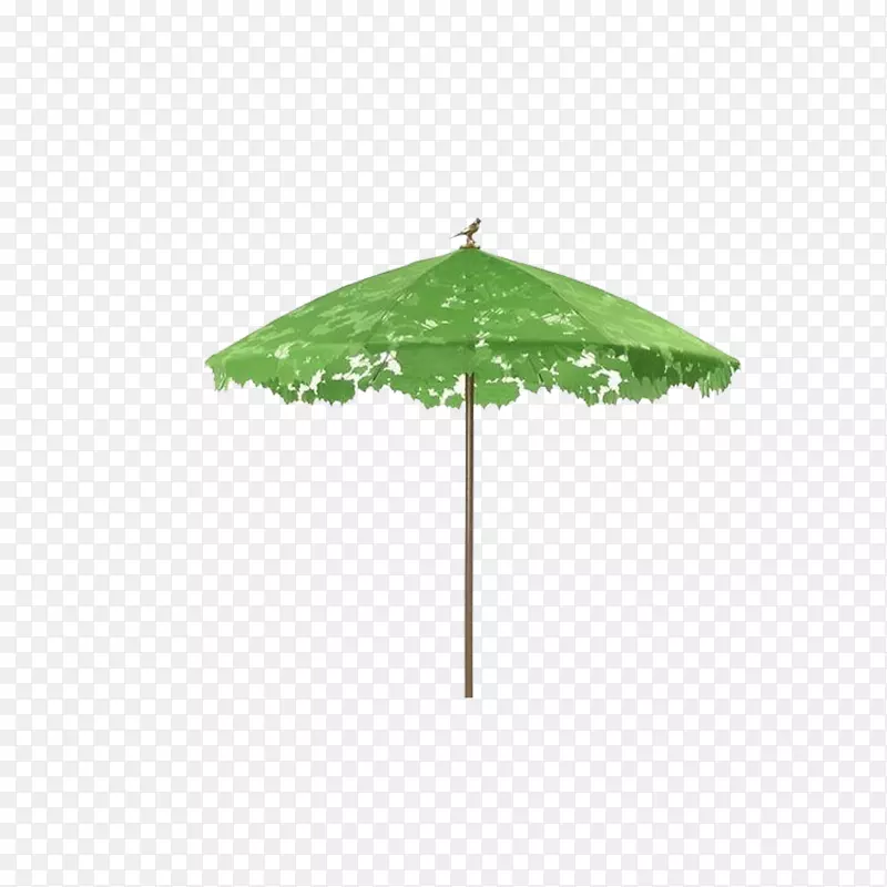 伞形树荫-伞状植物