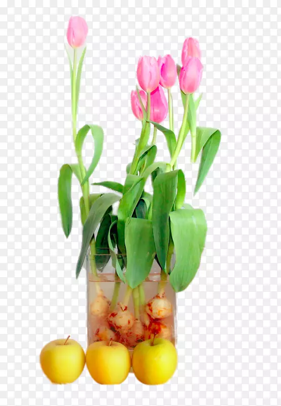 郁金香说花-一把郁金香