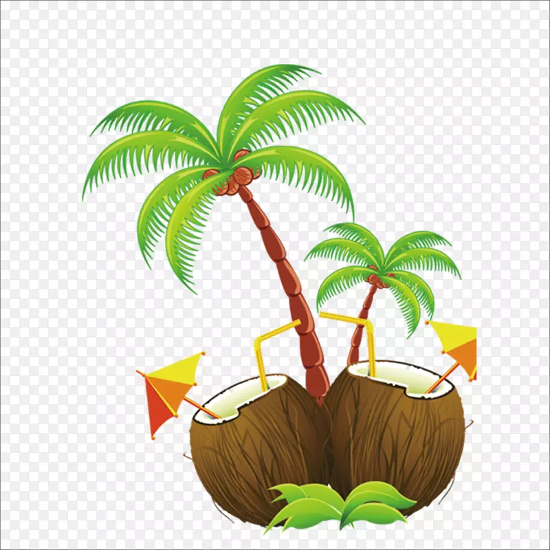夏威夷岛剪贴画-椰子