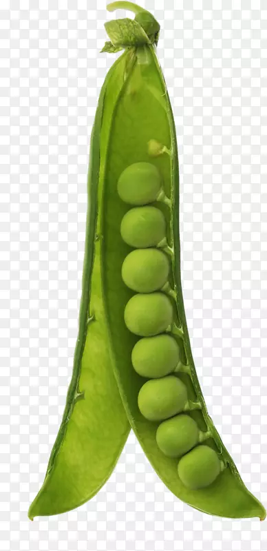 雪豌豆汤绿豌豆荚