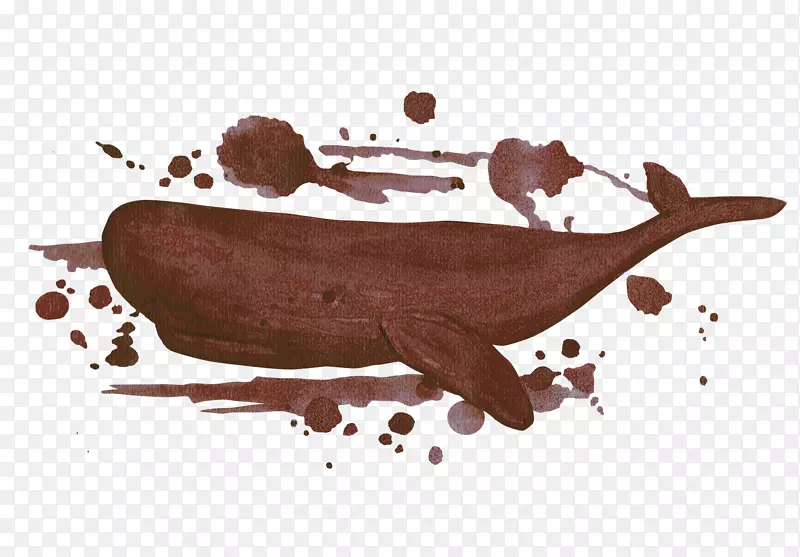 水彩画插图-棕色海豚