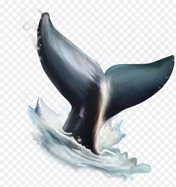 海豚水彩画剪贴画-海豚尾巴