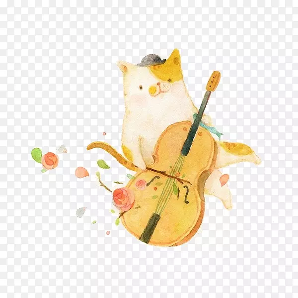 猫t恤大提琴小提琴和小提琴