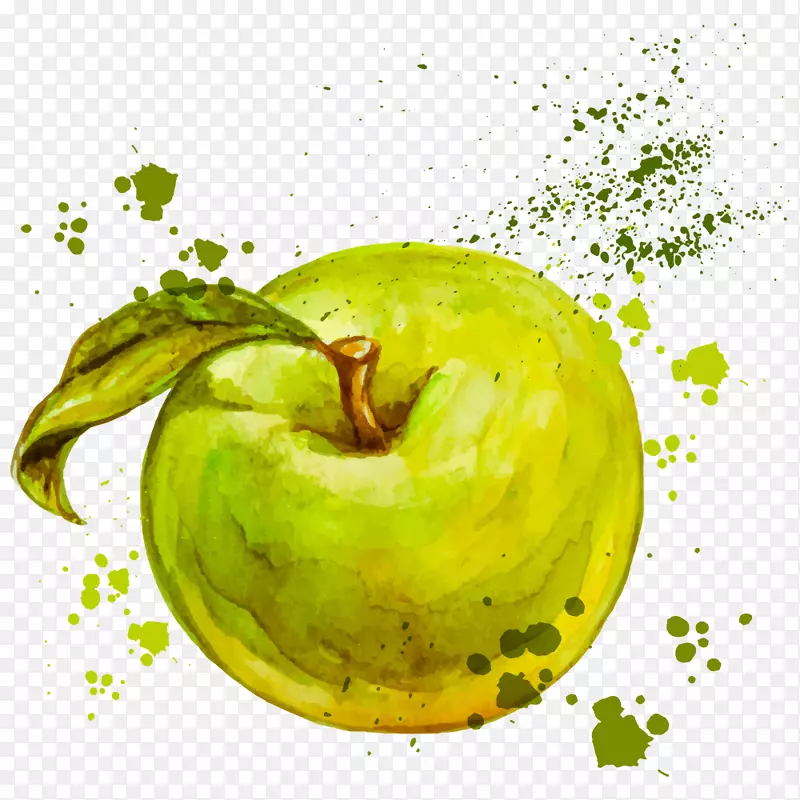 水彩画免版税插图绘图苹果