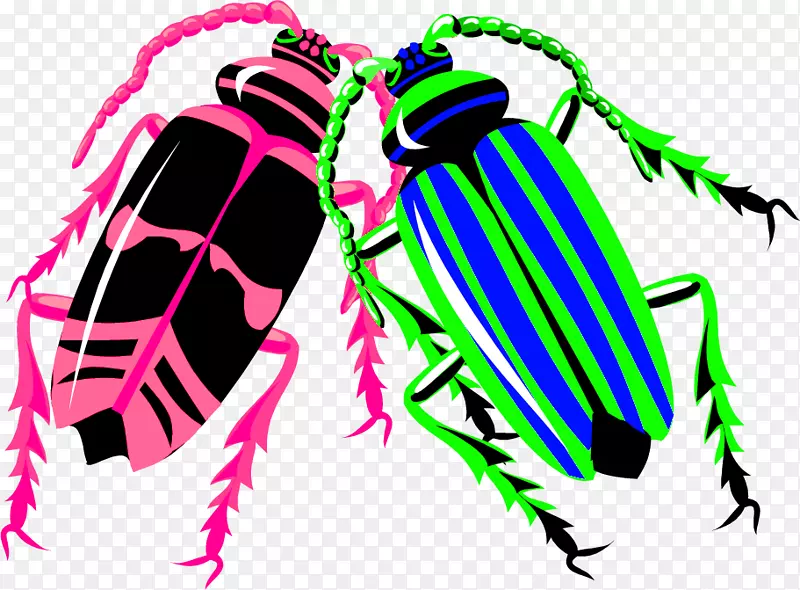 长角甲虫色昆虫