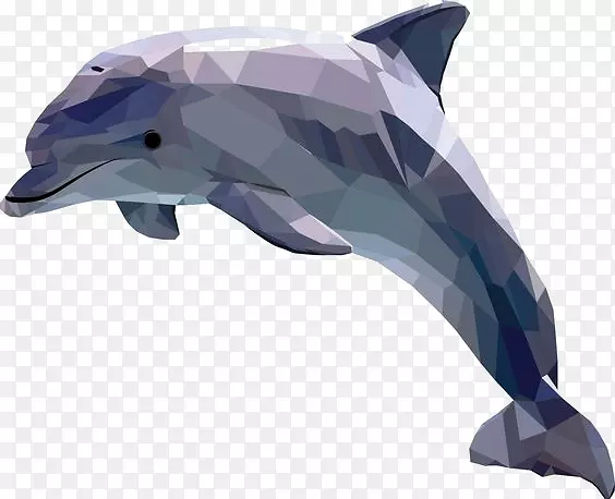海豚艺术插画-卡通海豚