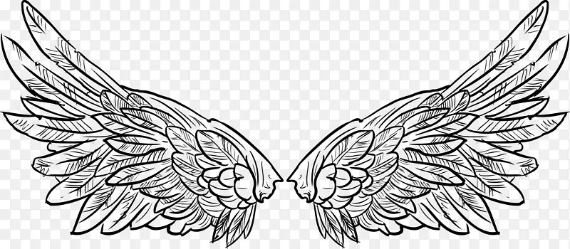 翅膀视觉艺术黑白纹身翅膀飞臂