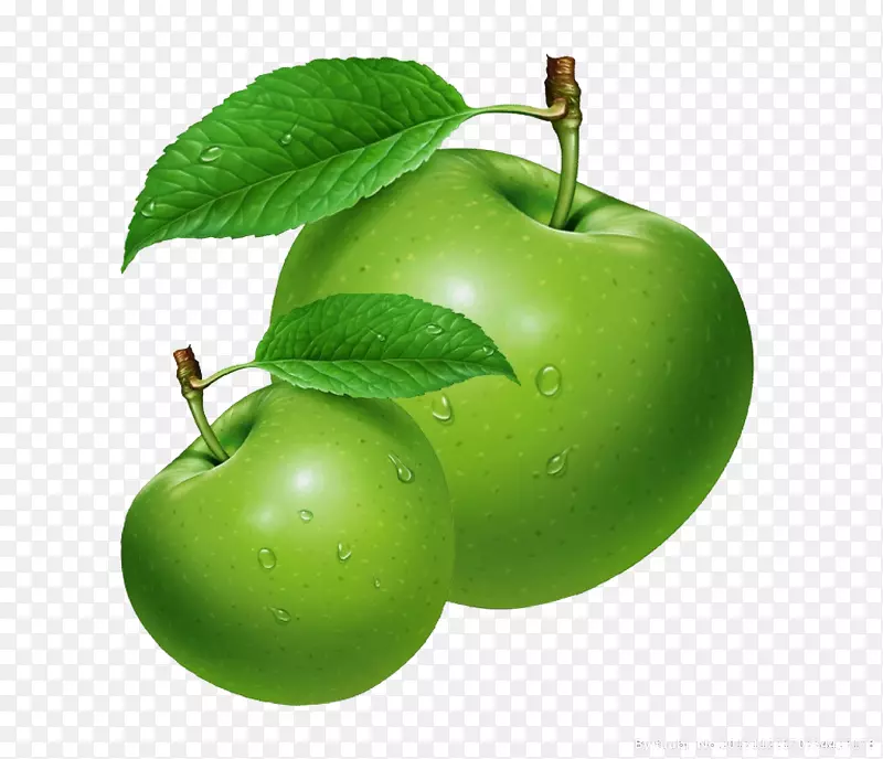 苹果汁提取苹果籽油精油青苹果