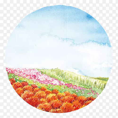 花瓣生态区圈色场