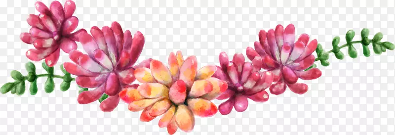 花环水彩画花束肉质植物