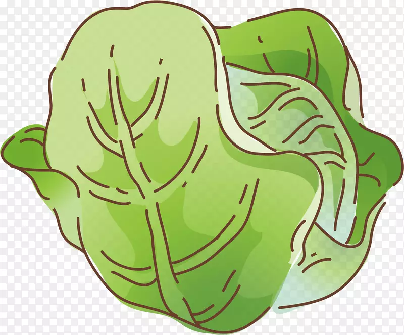 蔬菜卡通卷心菜插图-白菜PNG元素